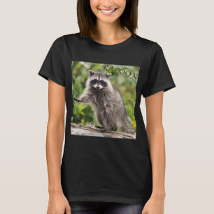 T-shirt Raton laveur