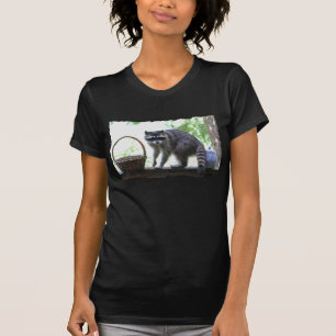 T-shirt Raton laveur et boîte à biscuits