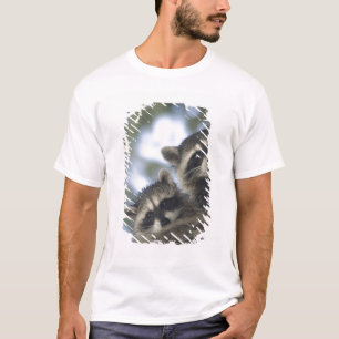 T-shirt Raton laveur Procyon Lotor) de Fish Lake, centre