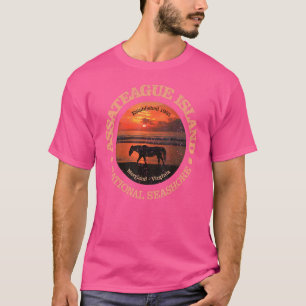 T-shirt Rd de la côte nationale de l'île Assateague-vintag