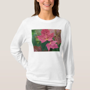 T-shirt rectifiez à vous