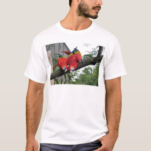 T-shirt Red Macaws 1.JPG