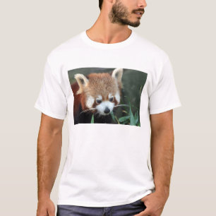 T-shirt Red Panda, Zoo de Taronga, Sydney, Australie