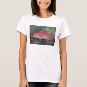 T-shirt Red Snapper, de 'Game Fishes of the United State