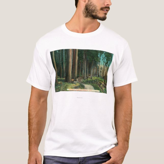 T-shirt Région boisée SceneEugene, OU (Devant)