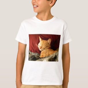 T-shirt Remplié dedans