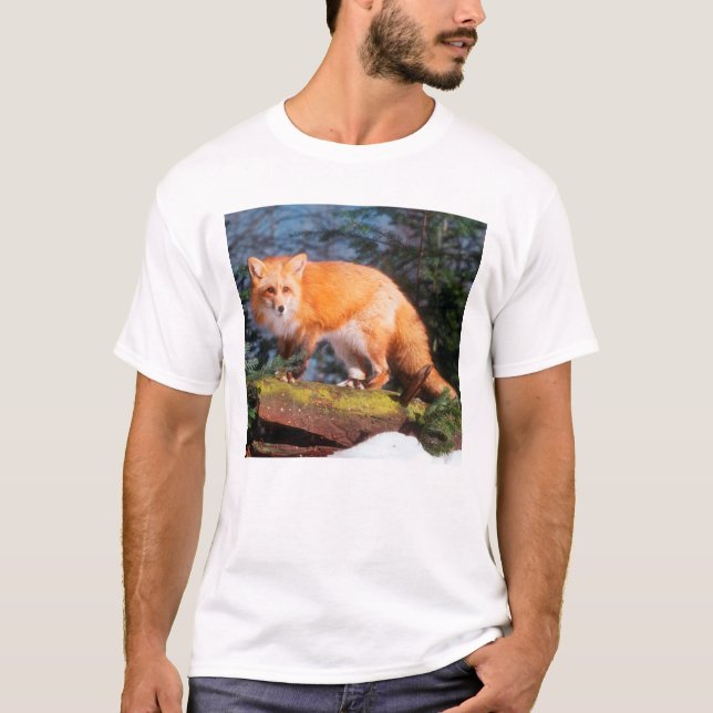 T-shirt Renard rouge sur un journal (Devant)