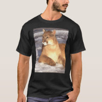 Repos de puma