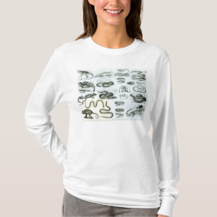 T-shirt Reptiles, serpents et lézards