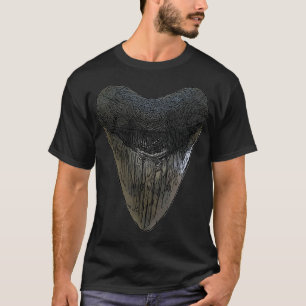 T-shirt Requins dent Megalodon Fossil