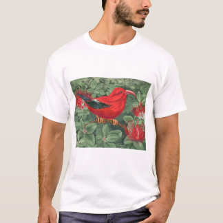 T-shirt Réunion Pacifique - fougère et oiseau