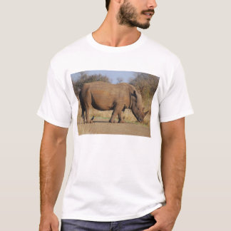 T-shirt Rhino