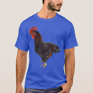 T-shirt Rhode Island Red Rooster garçon