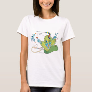 T-shirt Ribosome mRNA tRNA molecules proteins Diagram 
