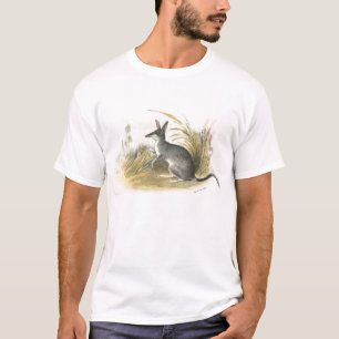 T-shirt Richard Lydekker - Bandicoot de lapin - Bilby