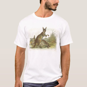T-shirt Richard Lydekker - Great Grey Kangaroo