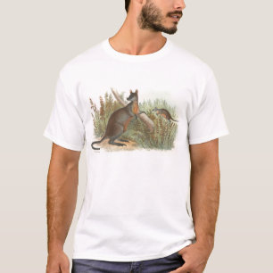 T-shirt Richard Lydekker - Wallaby à queue noire