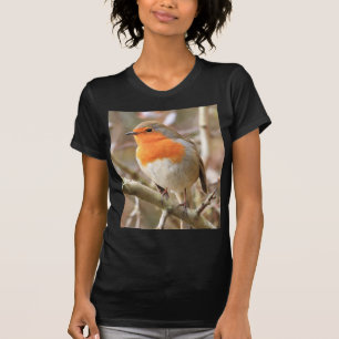 T-shirt Robin gai