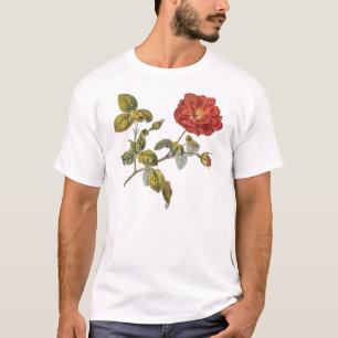 T-shirt Rosa Gallica Belle Red Antique Rose Vintage