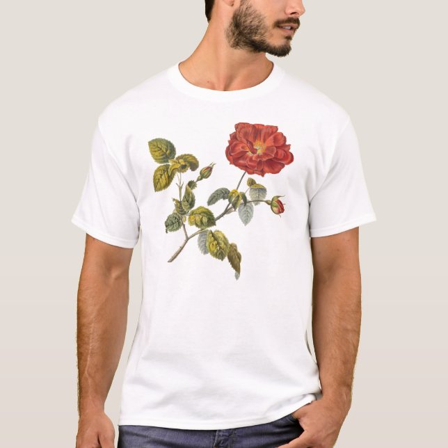 T-shirt Rosa Gallica Belle Red Antique Rose Vintage (Devant)