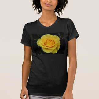 T-shirt Rose DSCF0127 jaune