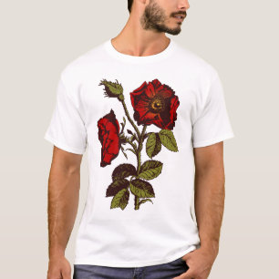 T-shirt Rose rouge antique