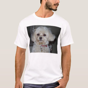 T-shirt Saki chamois