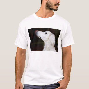 T-shirt Saluki recherchant
