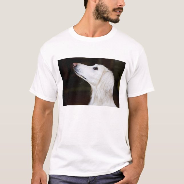 T-shirt Saluki recherchant (Devant)