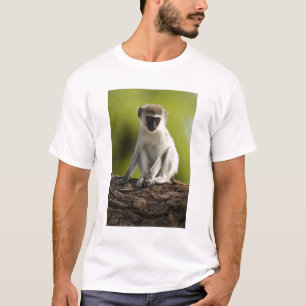 T-shirt Samburu Game Reserve, Kenya, Vervet Monkey,