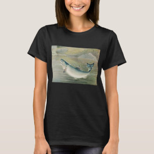 T-shirt Saumon de Californie par S.A. Kilbourne, Poisson V