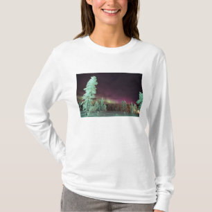 T-shirt Scandinavie, Finlande, Laponie, Kakslauttanen,