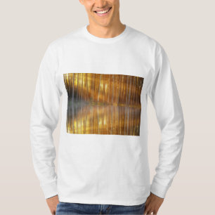 T-shirt Scène de la forêt de Misty