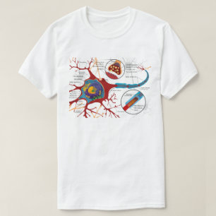 T-shirt Science du diagramme des cellules nerveuses 