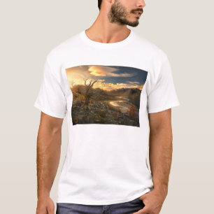 T-shirt Scion du sauvage