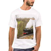 Scotsman de vol chez Goathland