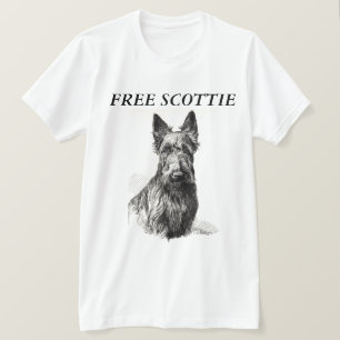 T-SHIRT SCOTTIE GRATUITE