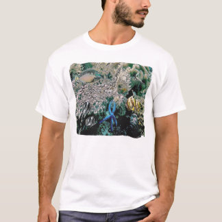 T-shirt seastar bleu