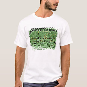 T-shirt Section transversale de feuille