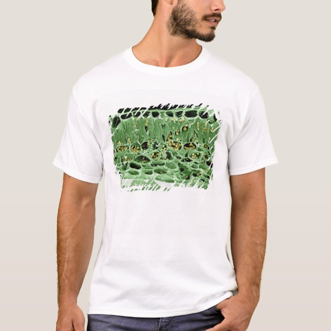 T-shirt Section transversale de feuille (Devant)