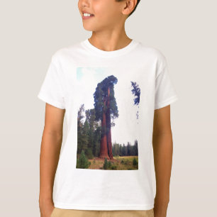 T-shirt Séquoia