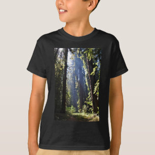 T-shirt Séquoias de Californie