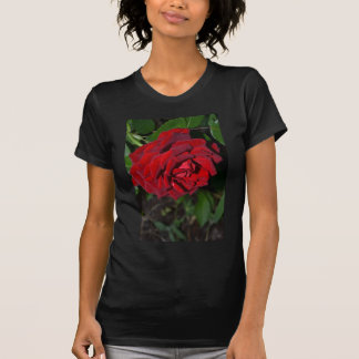 T-shirt S'est levé dans rouge-foncé
