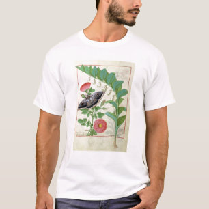 T-shirt S'est levé et le Polygonatum