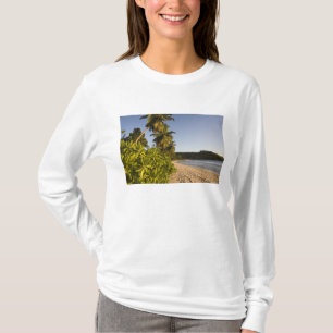 T-shirt Seychelles, île de Mahe, plage d'Anse Takamaka,