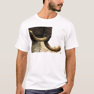 T-shirt Shofar