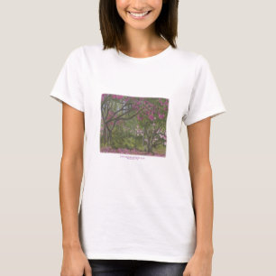 T-shirt Sierra Azul Nursery & Garden