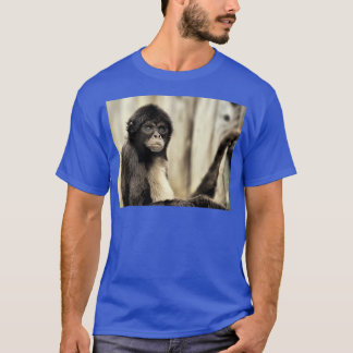 T-shirt Singe araignée