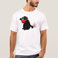 singe banquier
