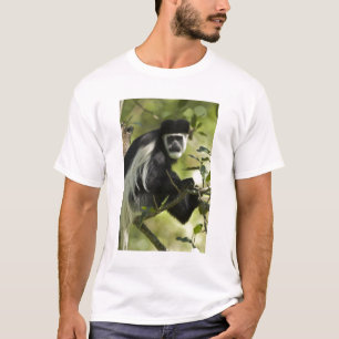 T-shirt Singe colobe noir et blanc